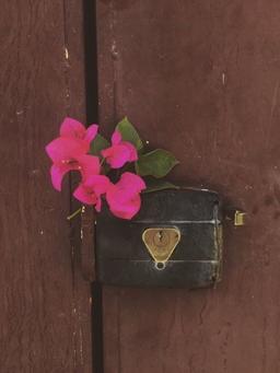 خاموشی دریا