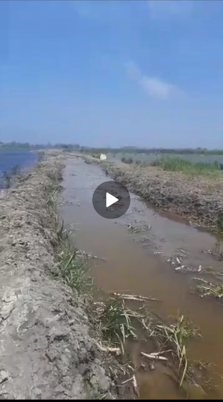 این رااهوو بیلها درست کردن که آب از اینور نرره اوونور ...خودش پُره آب شد.