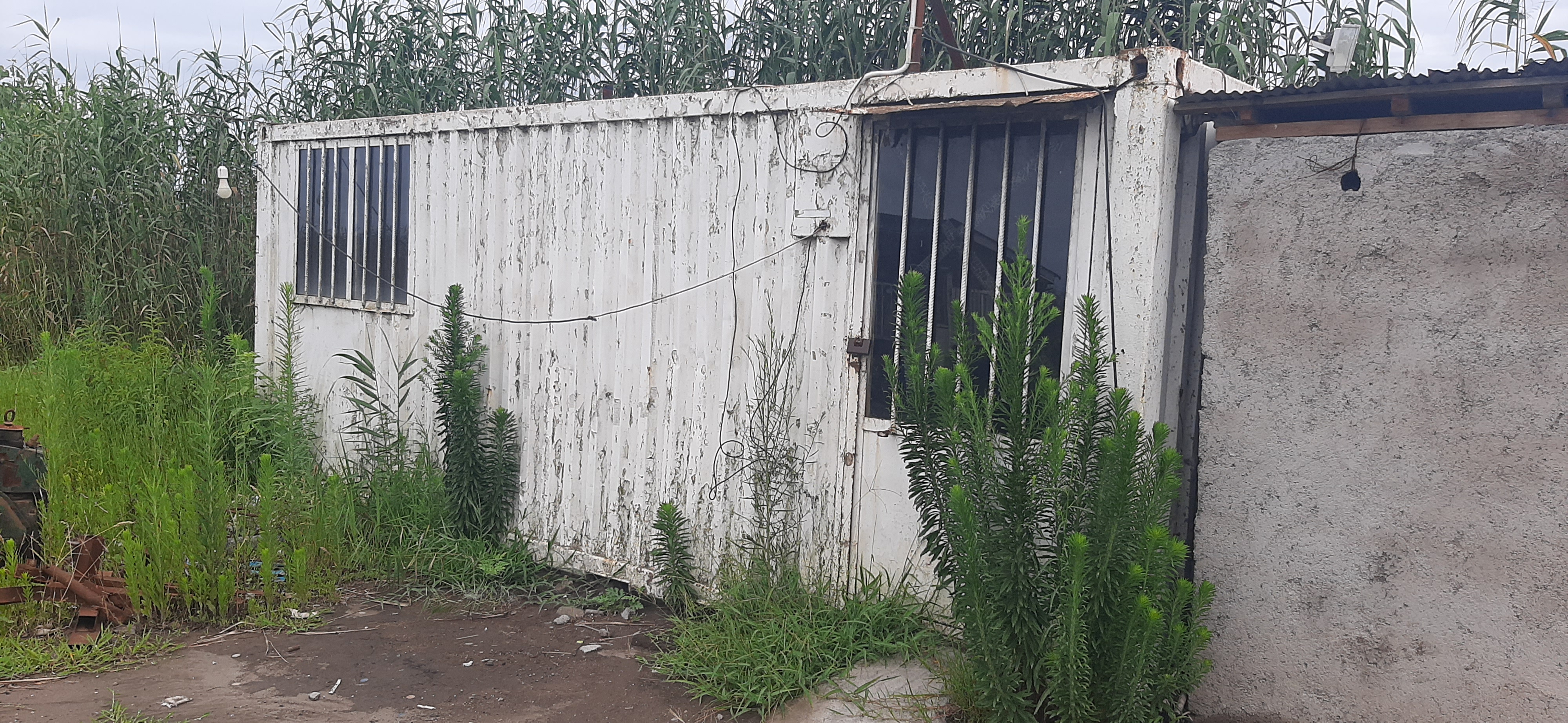 کانکس اولی ...قبض و نگهبان