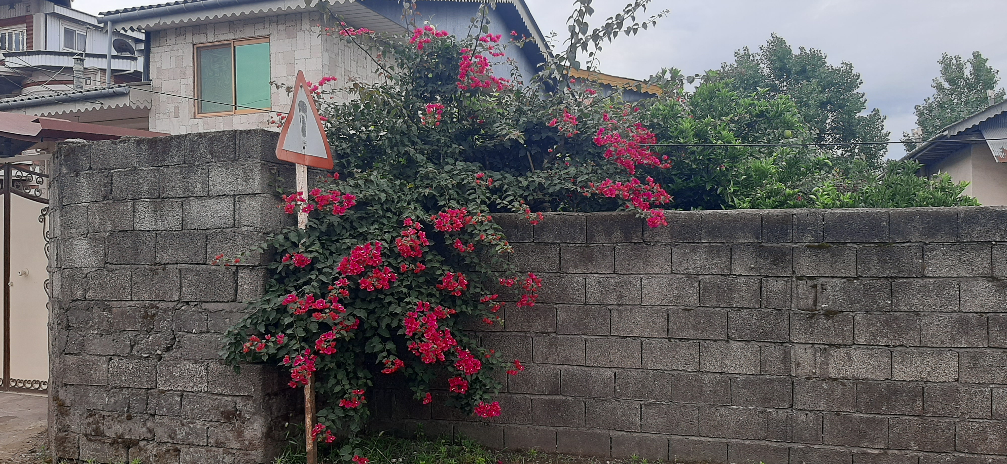 احتیاط ! اینجا زیبایی ببین 🥰