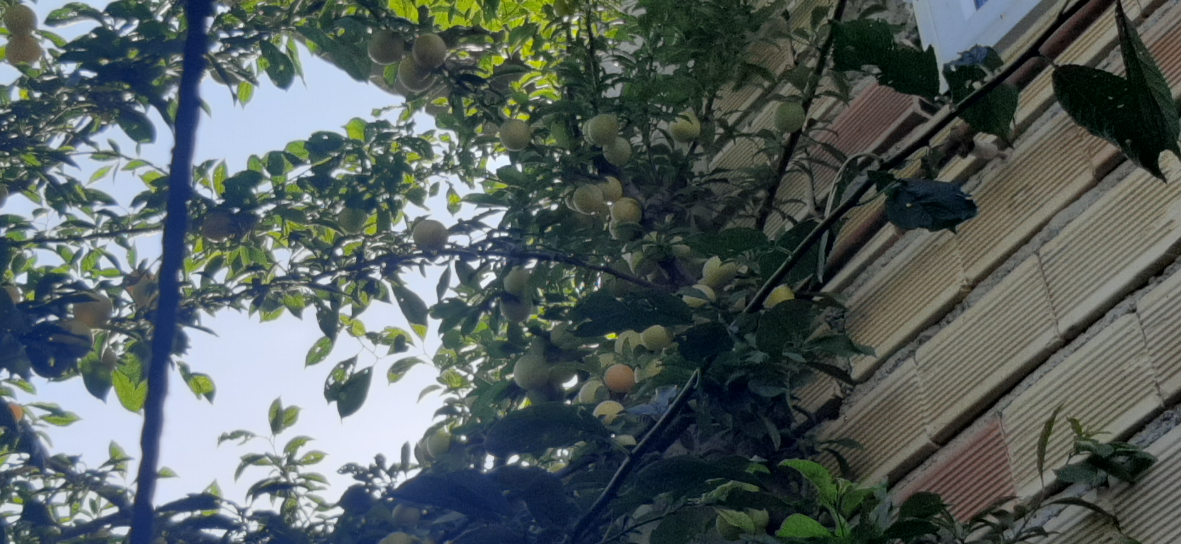 دیگه به اینجا دست و پام نرسید ...
