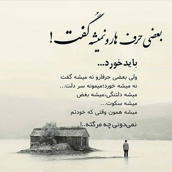 اما سکوت را میشکنم ، از دلتنگی ، ولو با بغض و اشک...