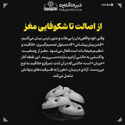نقاب ؛ پوششی ایده آل !؟ (۳)