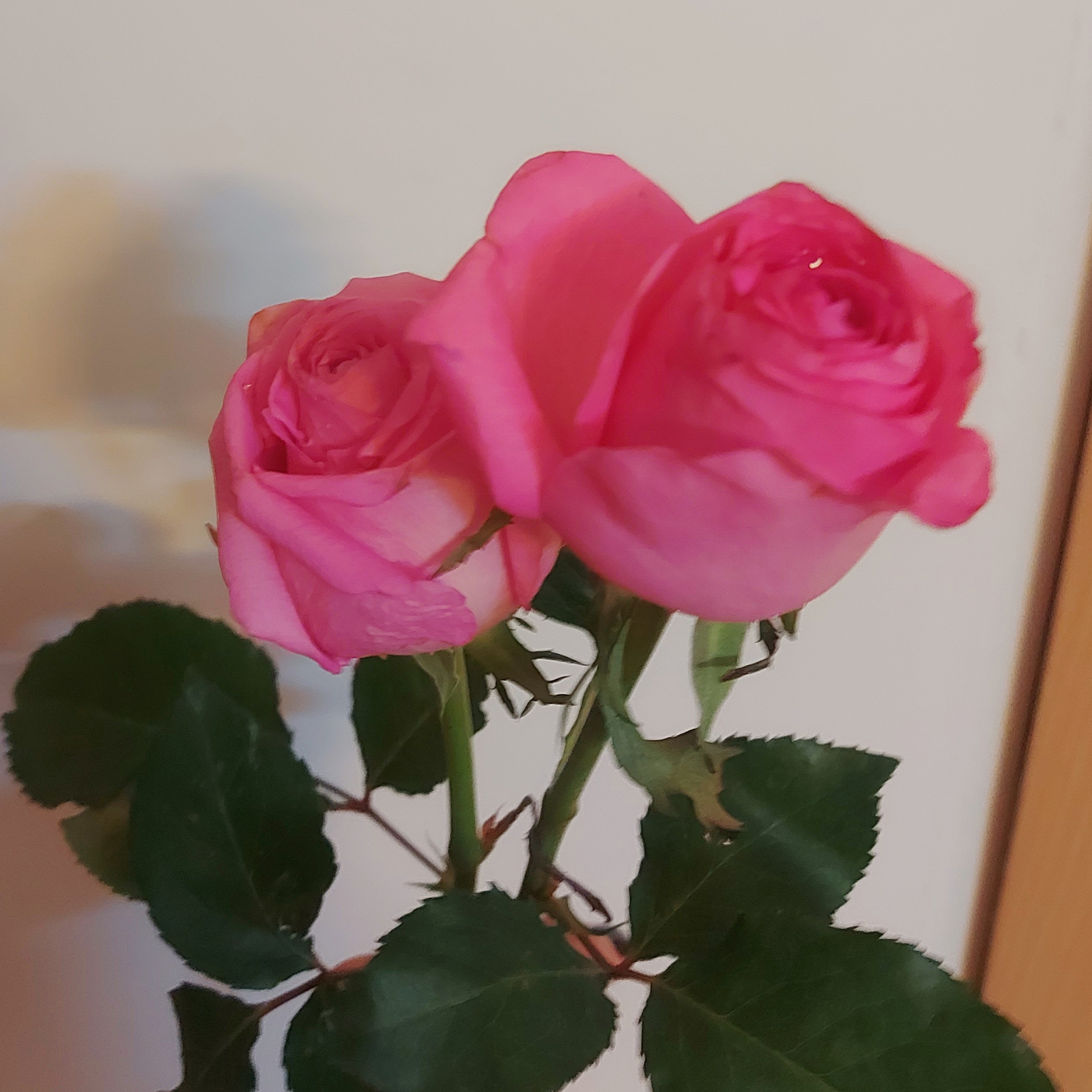 ۲