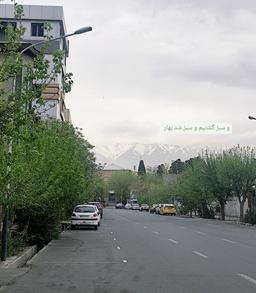 کوکی، پوکساید و دیگر روش‌های تضمینی برای بقا