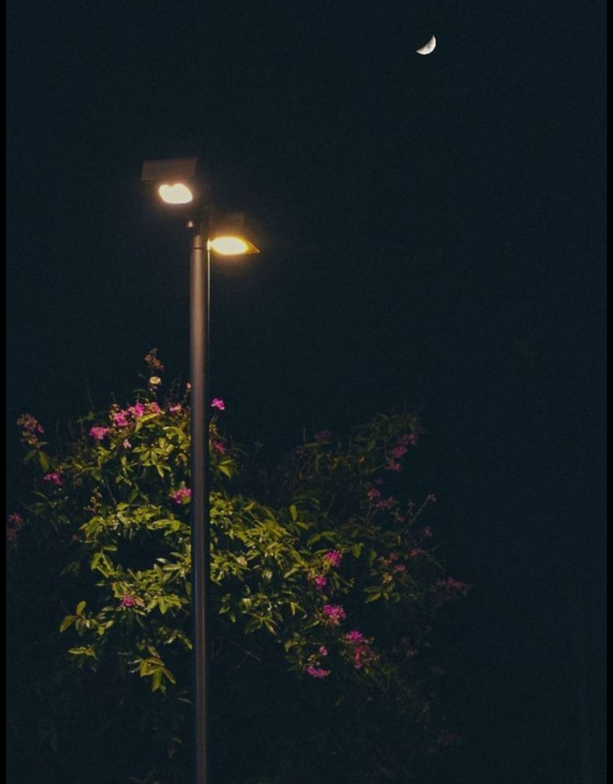از نگفتن‌ها