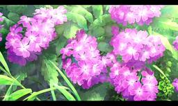 پیچک را پیدا کن...
