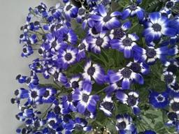 آرزوی خاطره!