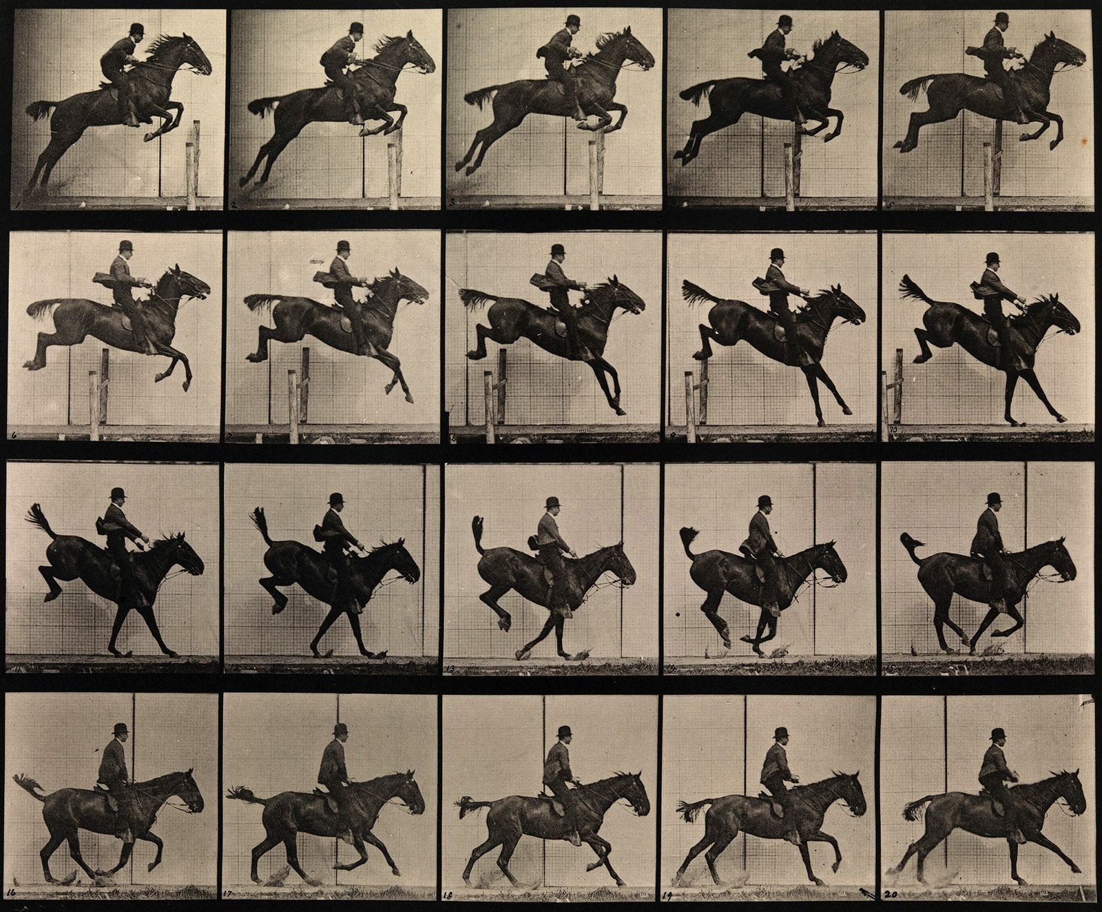 The Horse in Motion 1878