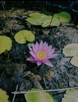 چرا در تغییرات بزرگ زندگی، خودمان را گم می‌کنیم؟