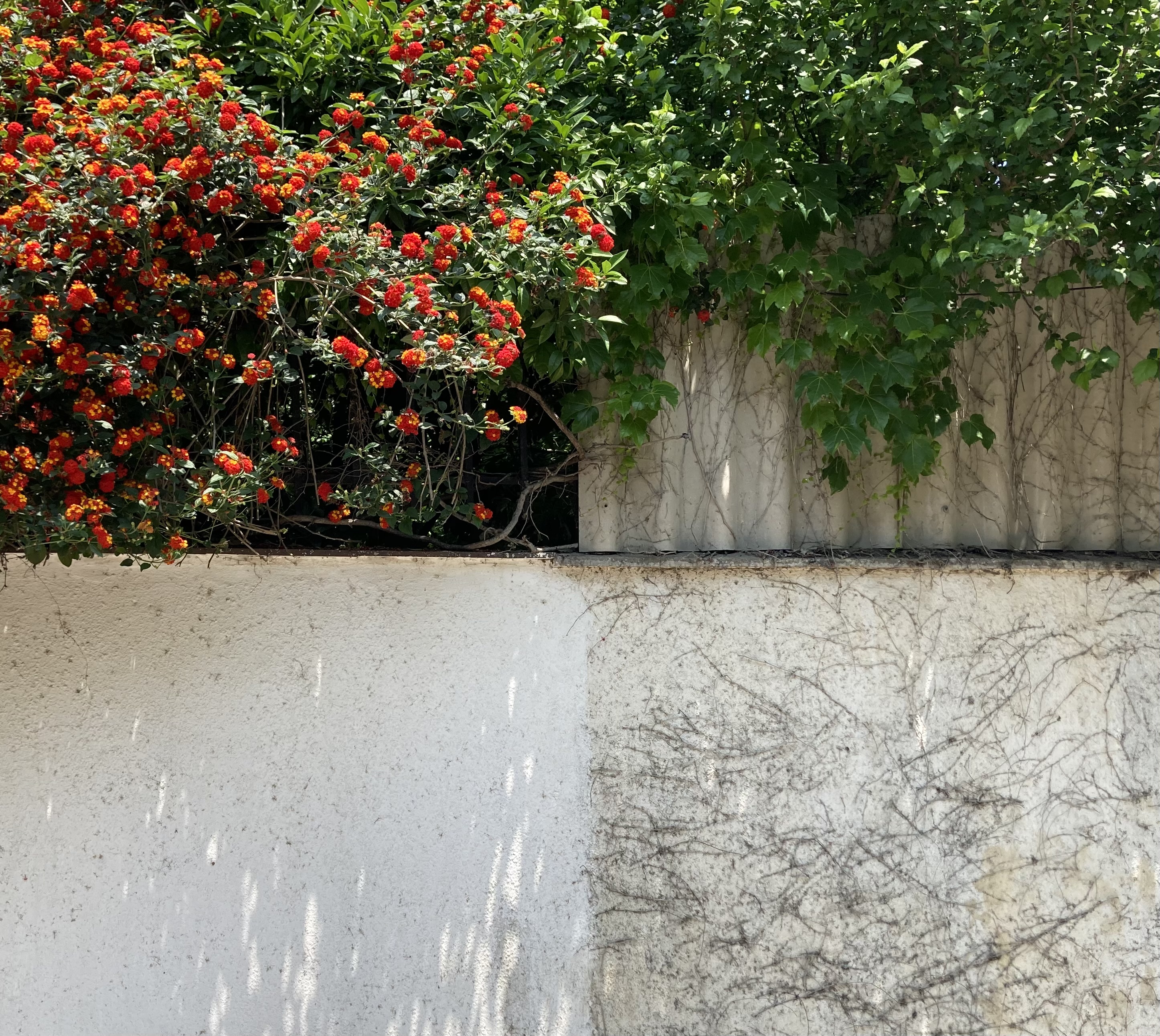 چطور داستان‌ها زندگی‌م رو نجات دادن.