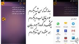 شرح زندگی و عاشقی شاعر باقر فداغی لارستانی