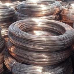 رابیتس و مش