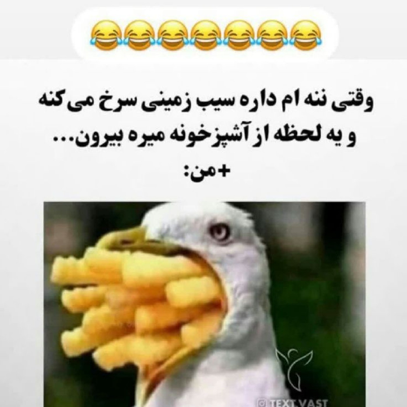 ایده...لا،لا،