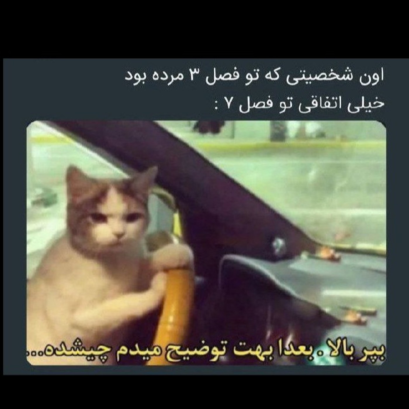 کاش میفهمیدم ته فرار از زندان اخرش اون داداشمون که نقش اصلی بود و اسمشو یادم نیس مرد یا نه........همیشه منتظر بودم برگرده🥲.....من هنوزم منتظرم🥲😂
