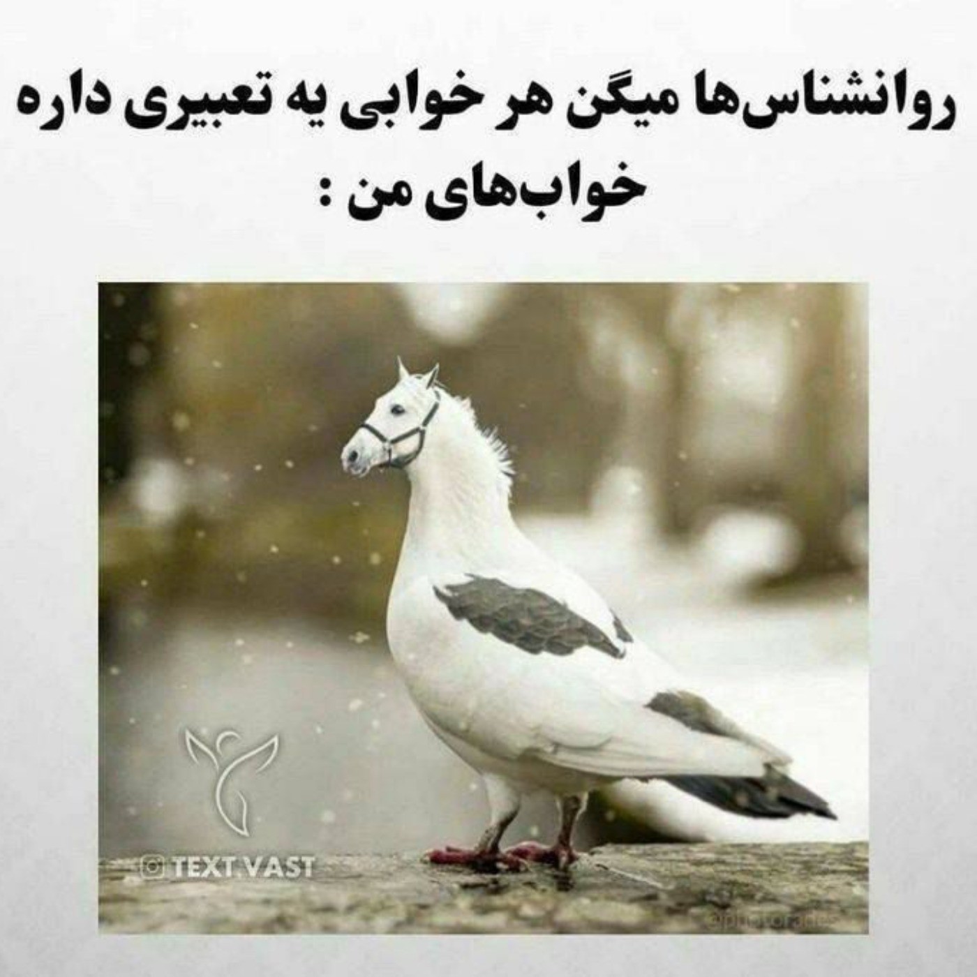 تهشم این میشه محتوا خوابم.....صبح انقد خسته و کوفته بودم که انگار تو خواب ازم کار کشیده بودن...یه سریال چند اپیزودی بود به شدت تراژدی و ترسناک