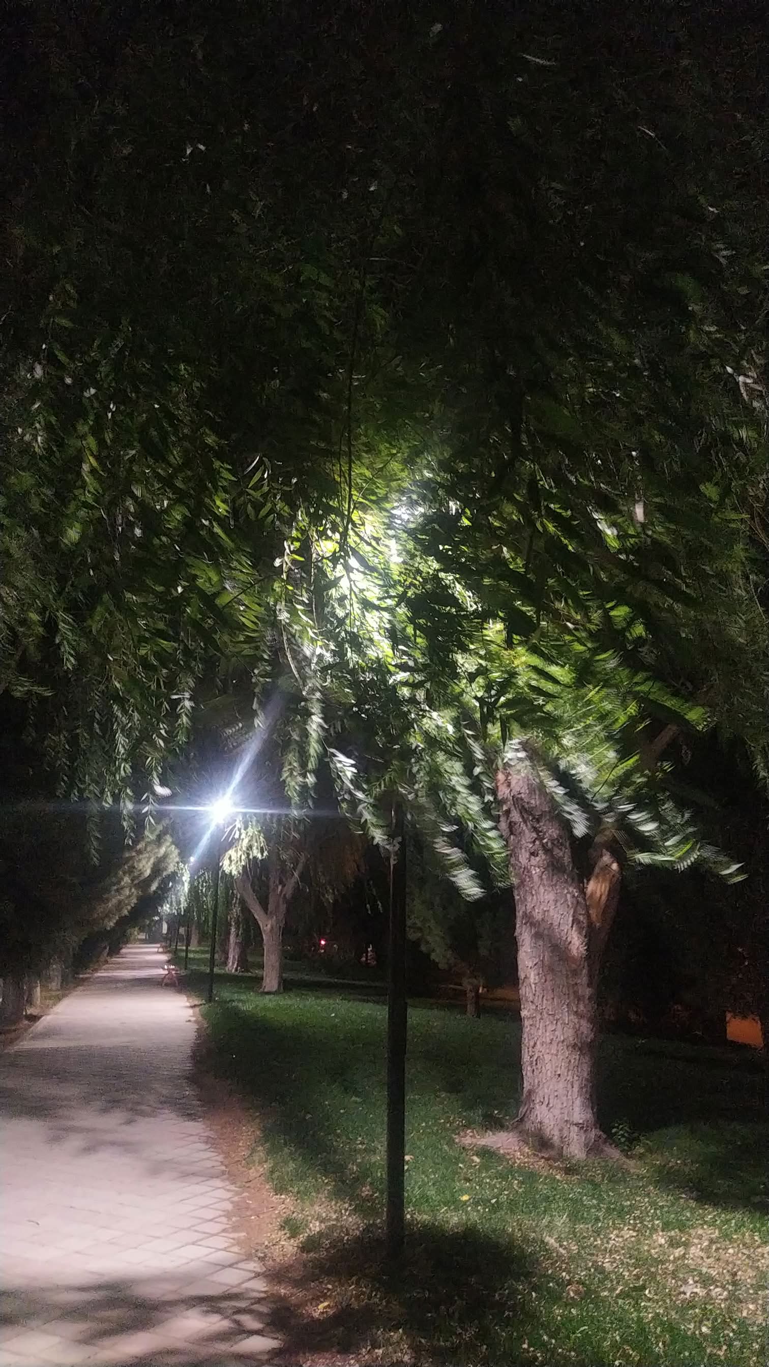 خوشحال...:)))