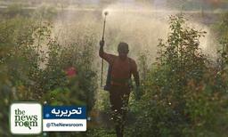 بحران خاموش: چگونه جنگ در خلیج‌فارس ماشین قحطی جهانی را به حرکت درآورده است؟