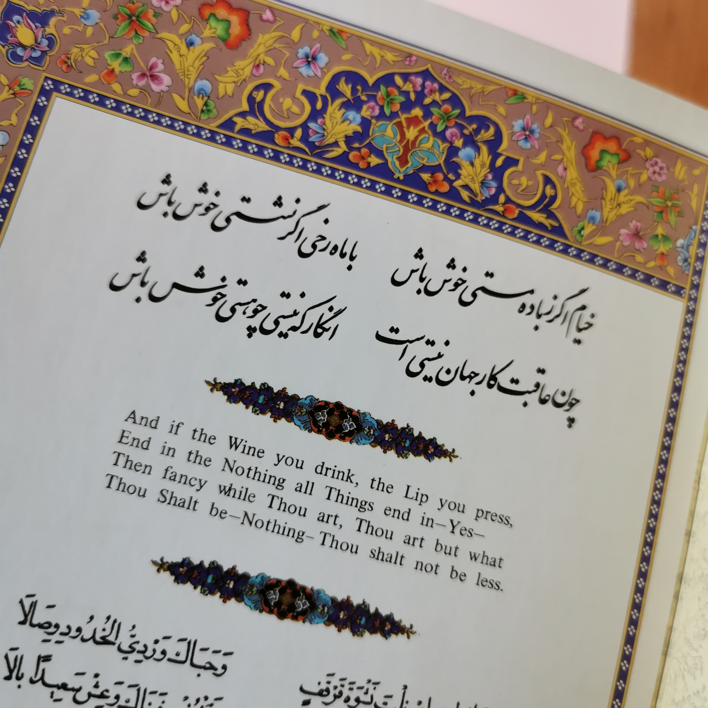مورد علاقم