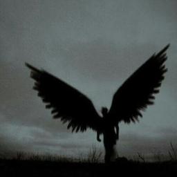 《گندم‌زار》