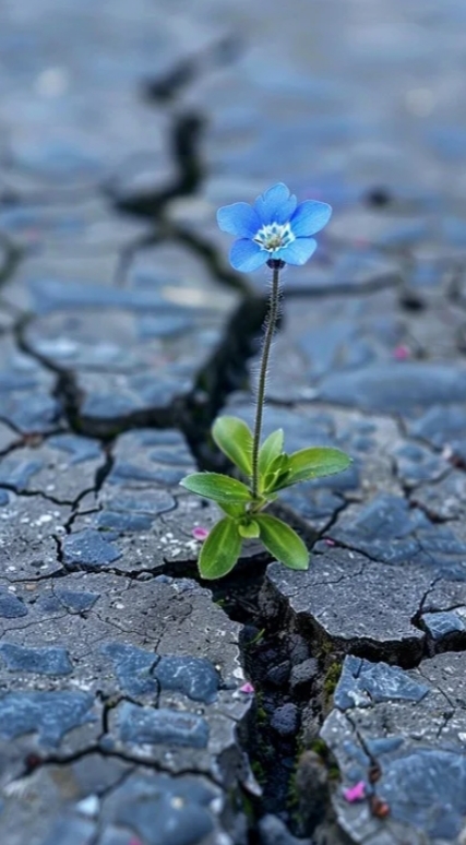 آنجا که رنج ما را با خود واقعی مان آشنا می کند