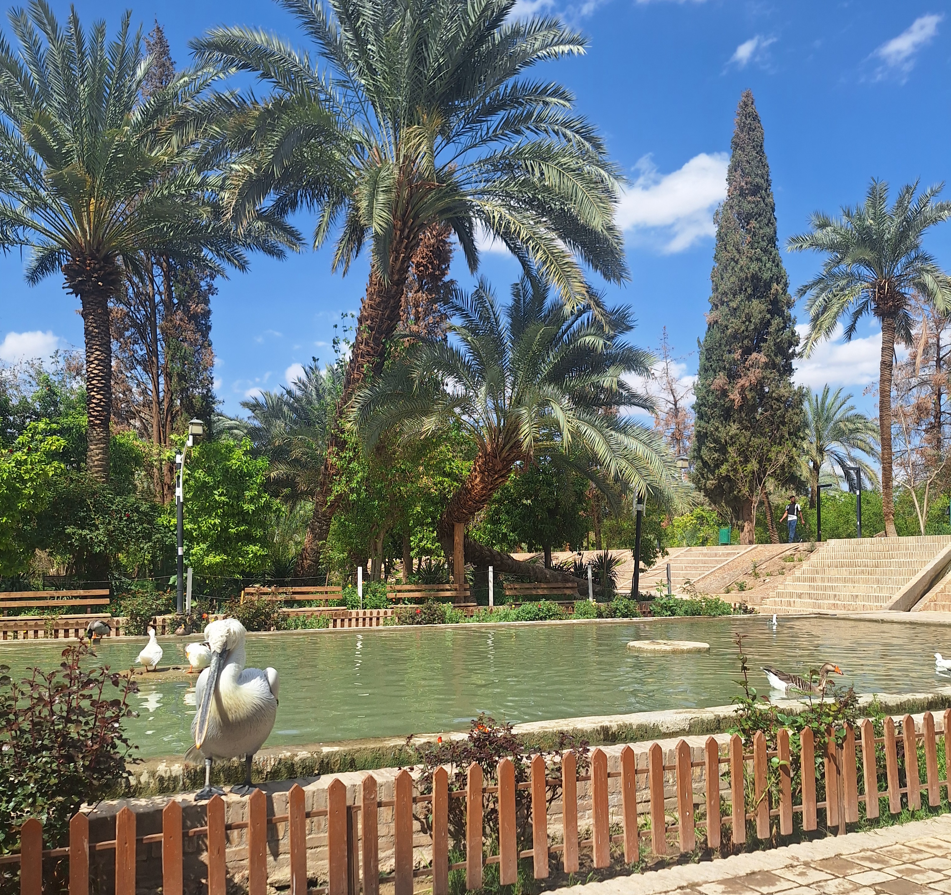 باغ گلشن