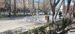 اگر به راستی بخواهند...