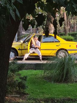 راننده خط انقلاب؛ آن‌که در تاکسی شاملو زمزمه می‌کرد...