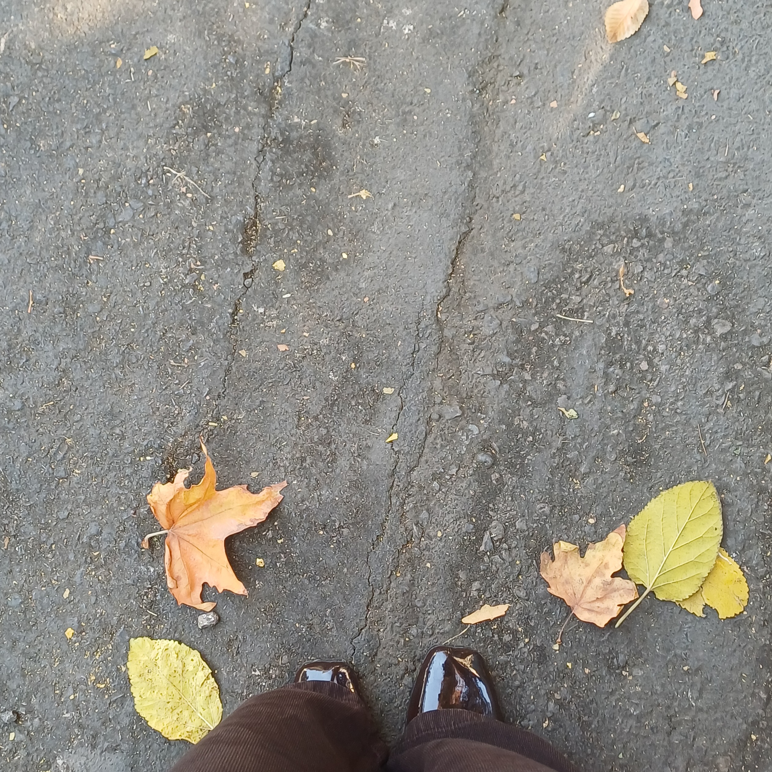 نامربوط