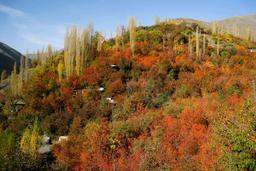 سفرنامه ی زشک