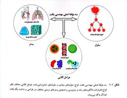 فقط آمدم همینو بنویسم:)