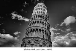 غنچه حماقت