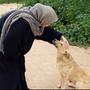الهام نی بند