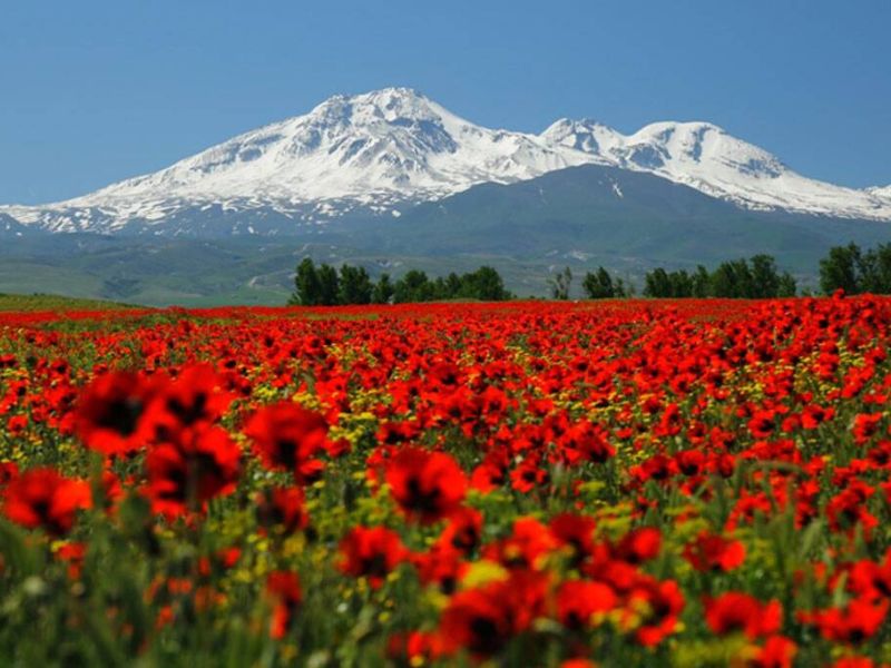 رشته کوه های زاگرس