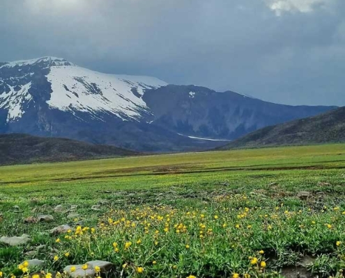 رشته کوه های البرز