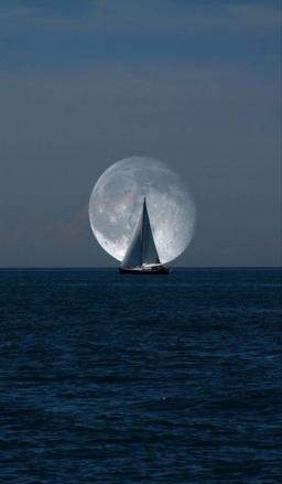 پروژه فراموشی