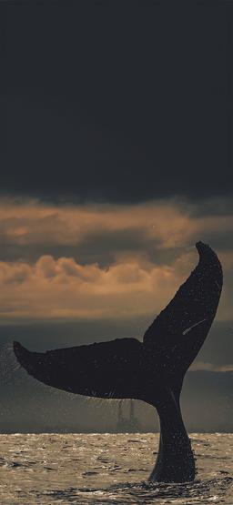 :•۹•  غــــــಠ_ಠـــــــم