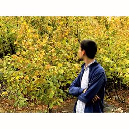 ساعت به وقت افسوس