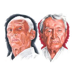 جیو جیتسو برزیلی (BJJ)نباید فقط به تعریف تکنیک‌ها بپردازیم؛ بلکه باید به «روح» این ورزش، یعنی **غلبه‌ی هوش بر قدرت**