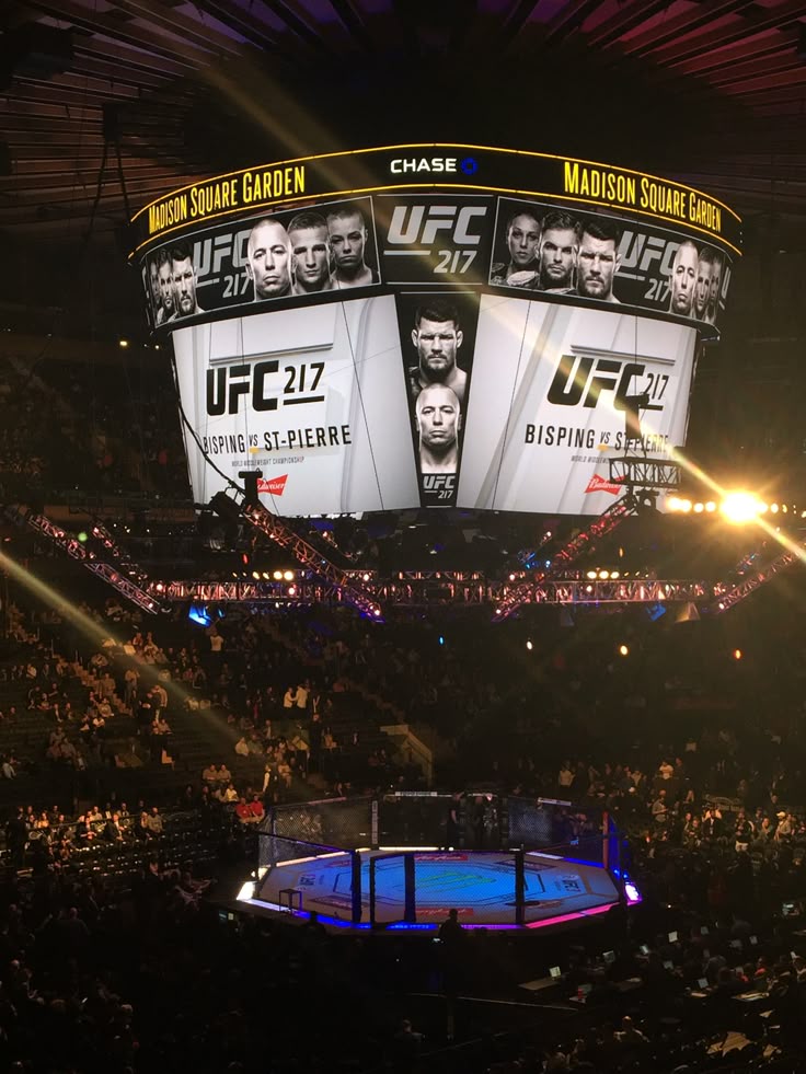 وقتی آشوب با علم ملاقات کرد: داستان عشق و جنگِ UFC و جوجیتسو