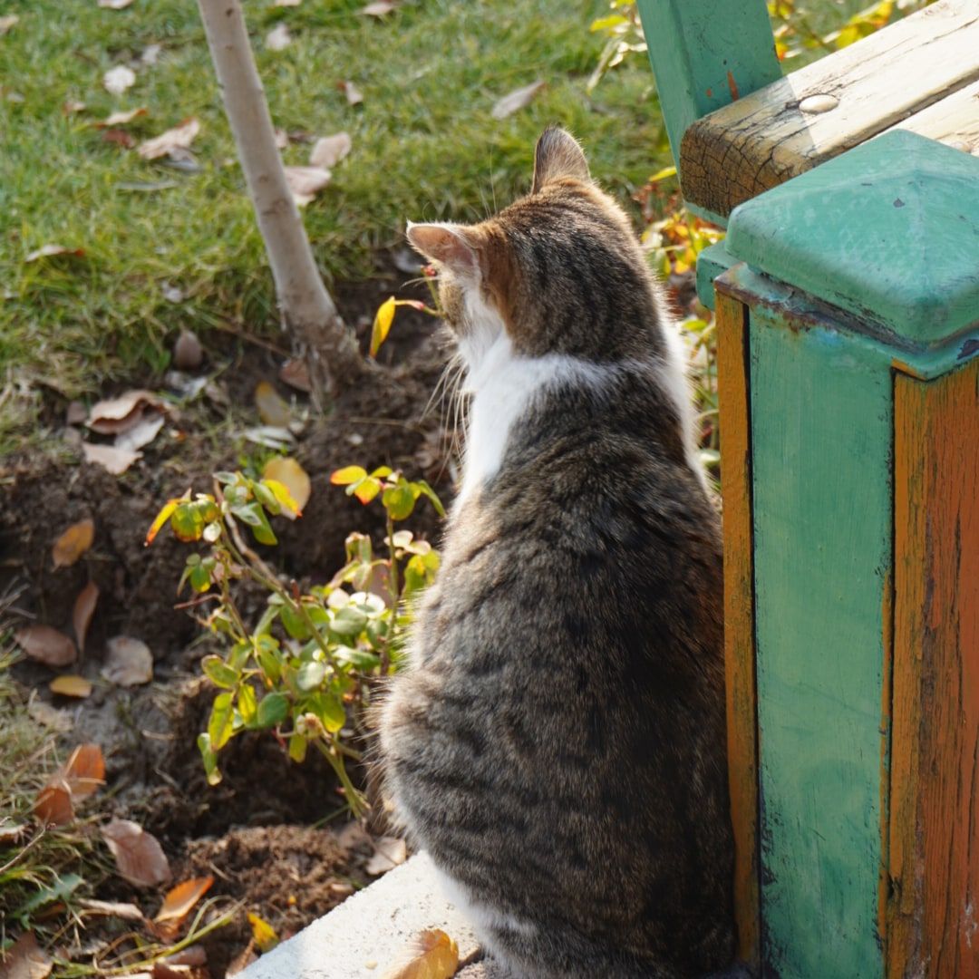 من گوشه نشین