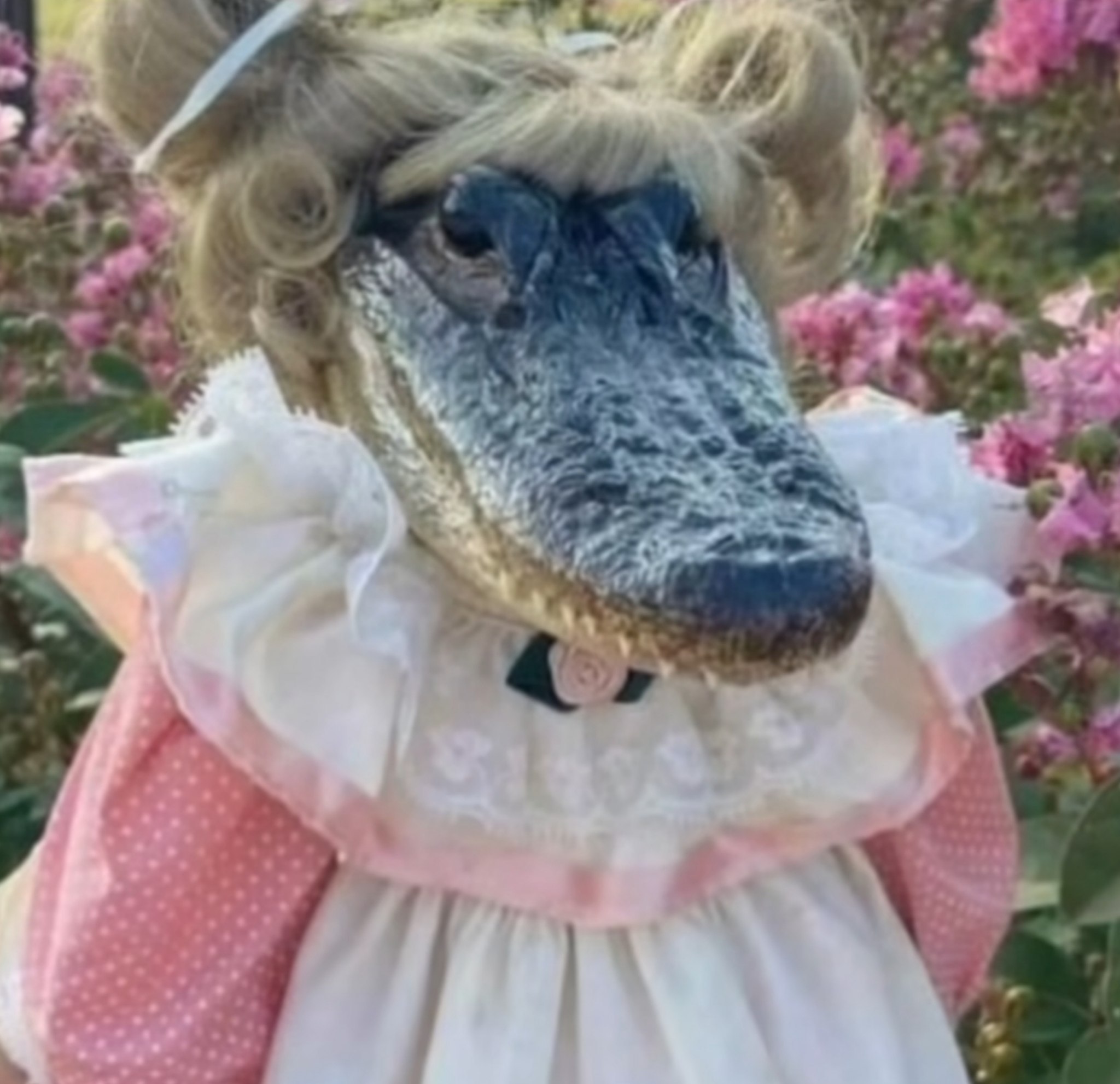 این من بودم امروز همینقدر وحشی