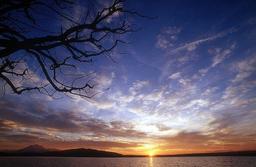 ٱلَّذِى عَلَّمَ بِٱلْقَلَمِ♡