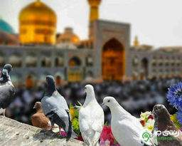 مشهد، شهری برای دلدادگان