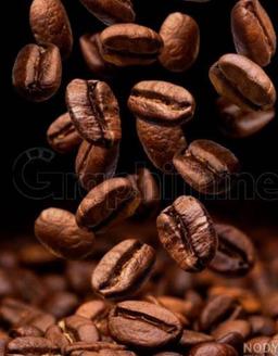 قهوه؛ دوستِ بیداری یا دشمنِ آرامش؟