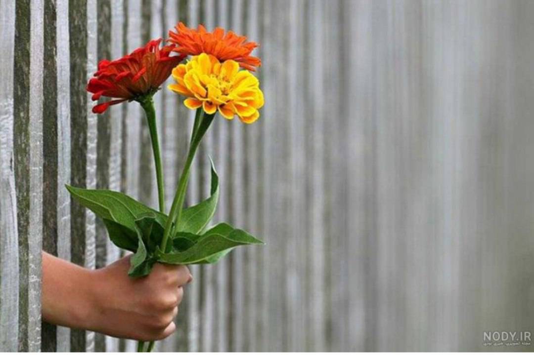 جادوی محبت؛ همون چیزی که زندگی رو از حالت “خاکستری” درمیاره!