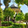 محمدرضا گلمحمدی