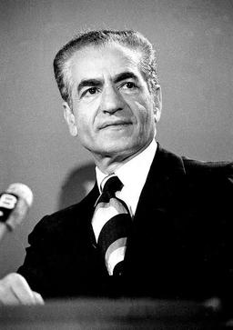 شاهی که مثل سگ تنها مرد