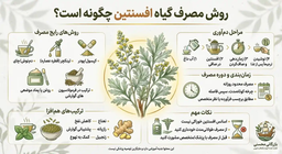 گیاه افسنتین چیست؟ بررسی خواص شگفت‌انگیز، مضرات و خرید محصول اصل