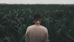 من با دوست داشتن تو چه بلایی سر خودم آوردم؟!